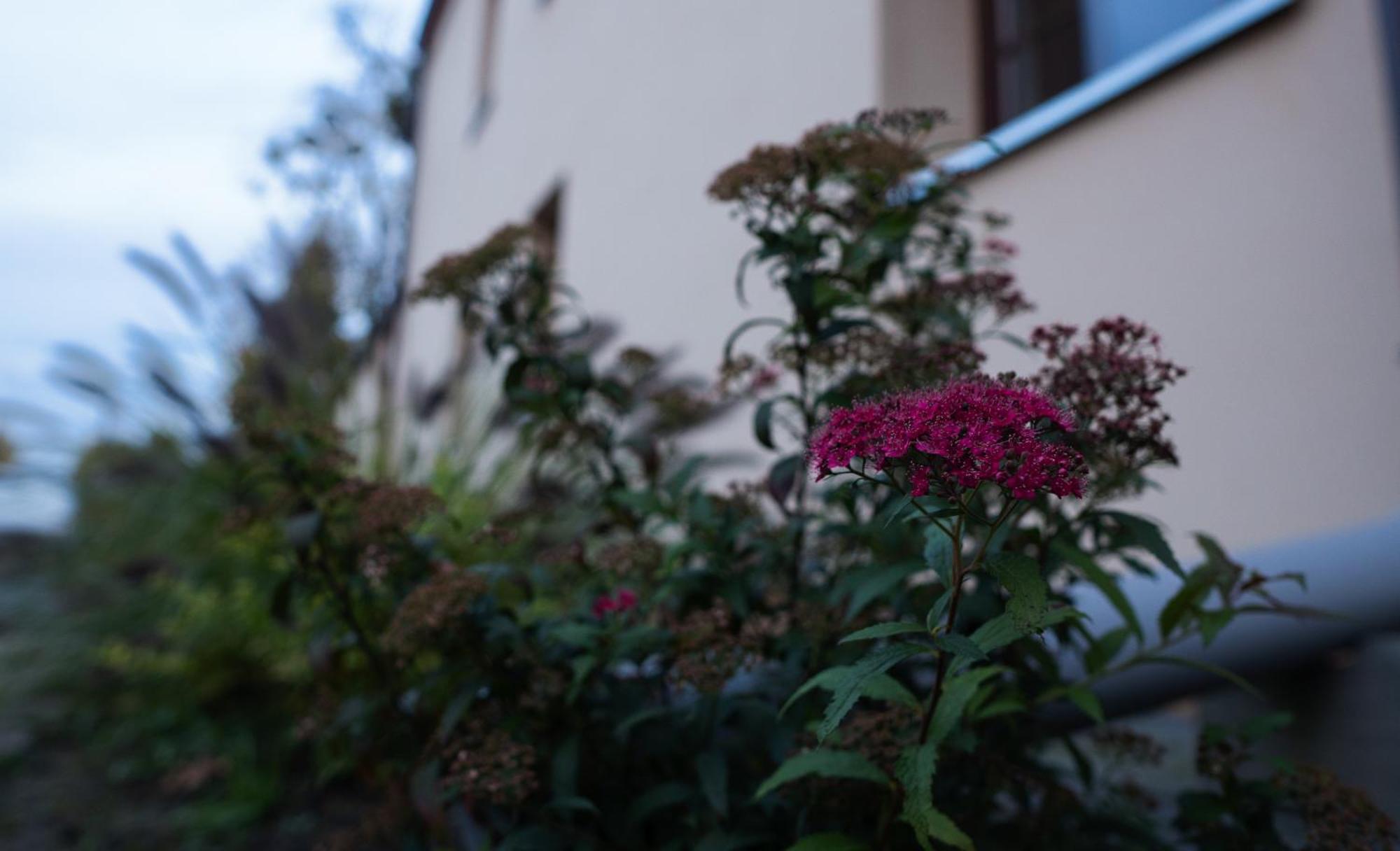 Uroczysko Olesnica Chodzież Exterior foto